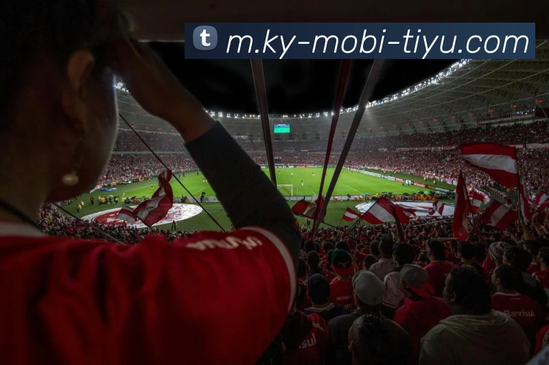 开云体育平台生态图